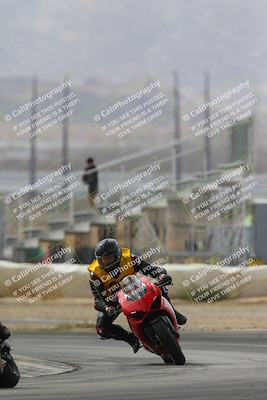 media/Mar-02-2025-Race Pace (Sun) [[8bec80ae00]]/12-Vested (Turn 2) 1111am/